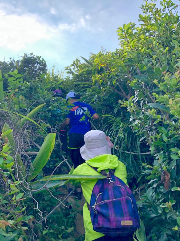 2019-07-28新北萬里駱駝峰稜線_647423