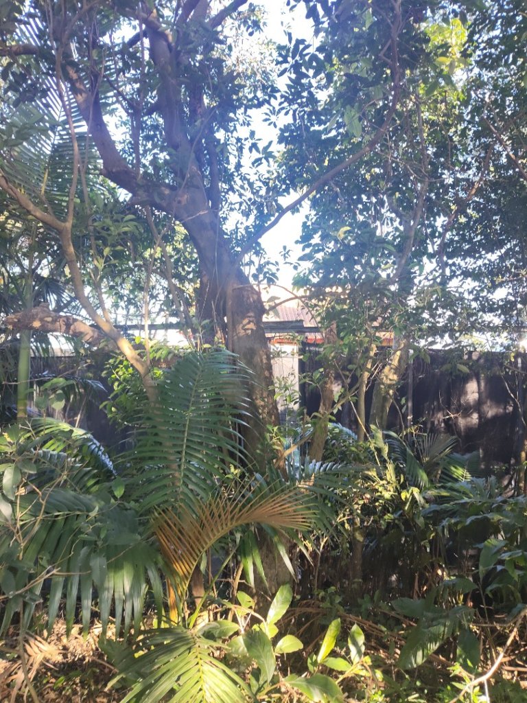 微笑山線：【天上山系】烘爐地土地公段：外南勢角山_2963540