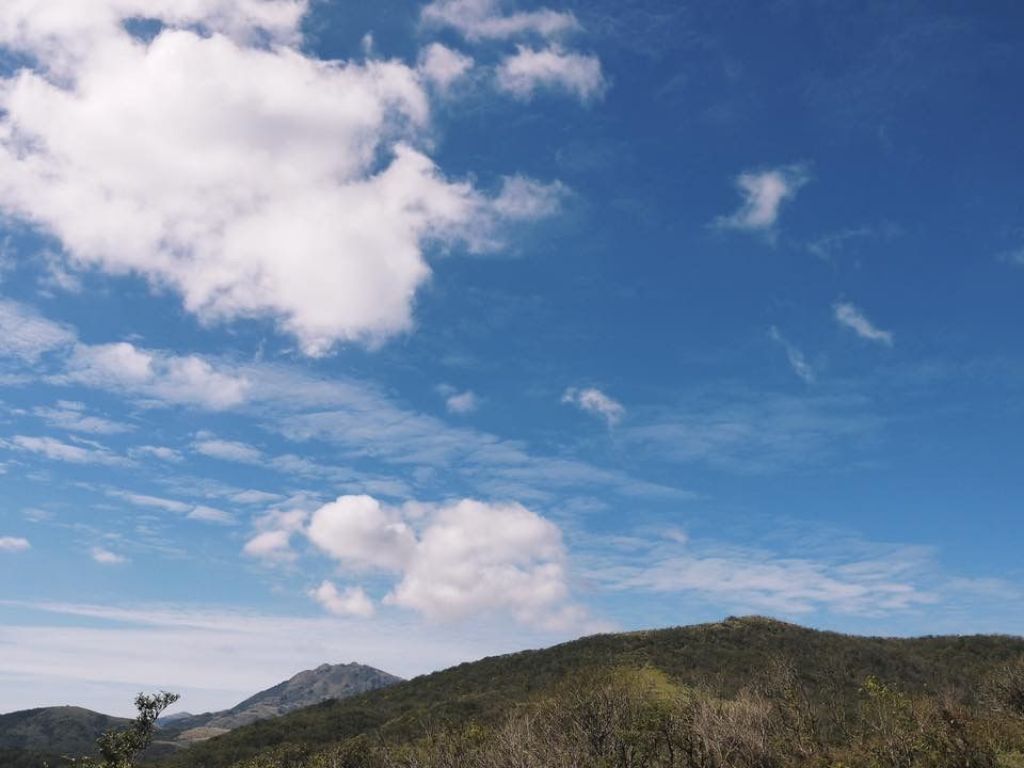 陽明山秋芒：風櫃嘴—頂山—石梯嶺—擎天崗_309478