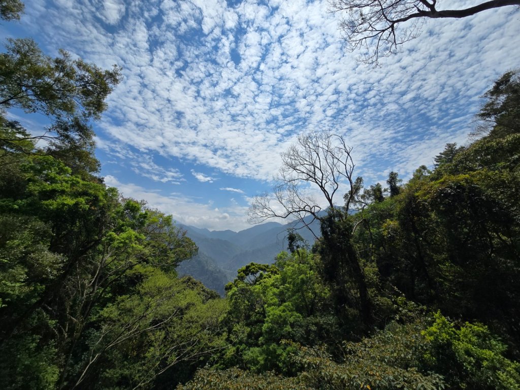 谷關松鶴橋對面的德芙蘭生態步道順登東卯山西南峰_2748304