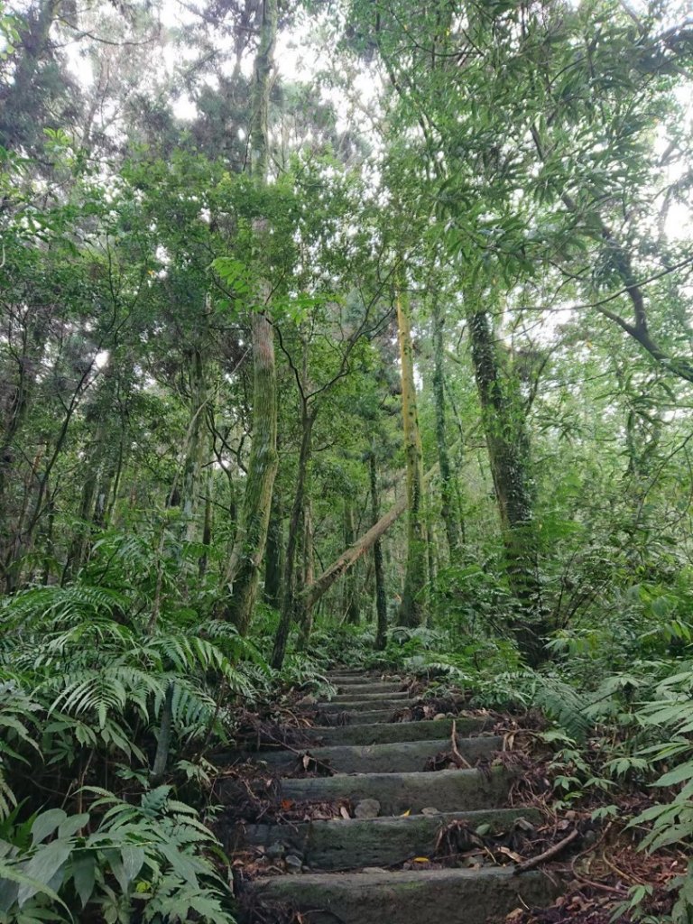 四崁水山、大桶山_1661849