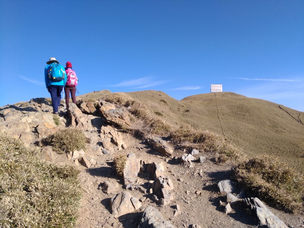 20180405 合歡北峰_304994