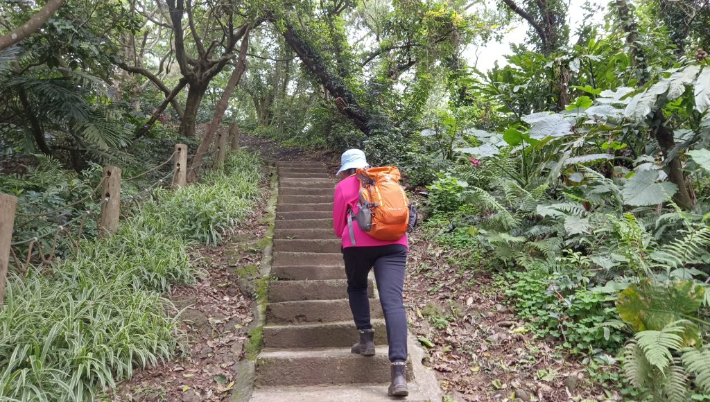 (姨婆趴趴走)第五十集:新北樹林大同山、青龍嶺、大棟山諸峰連走_2751568