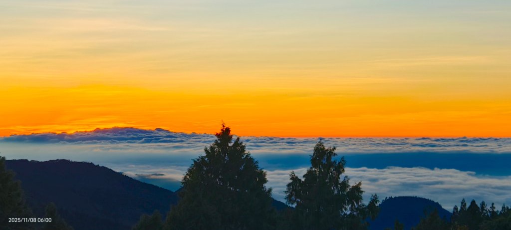 #太平山 #望洋山 #觀雲步道 #日出 #雲海 11/8_2931207