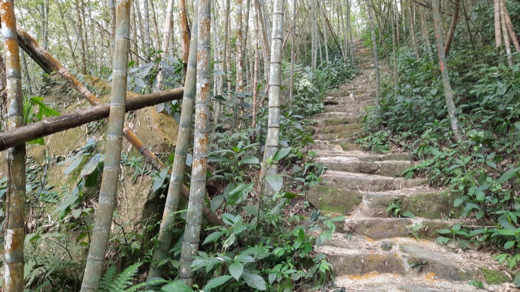 《雲林》全程陡陡｜華山10-5號步道上雲嘉大尖山20220306_1631123