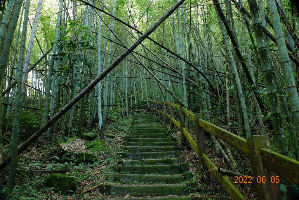 嘉義 竹崎 篤鼻山_1731331