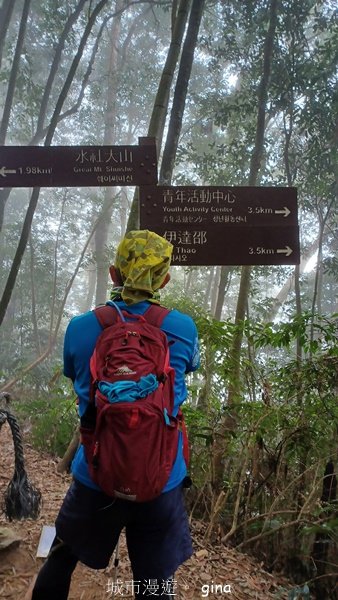 【南投魚池】中部四大名山之山高路遠。 水社大山登山步道_2037935