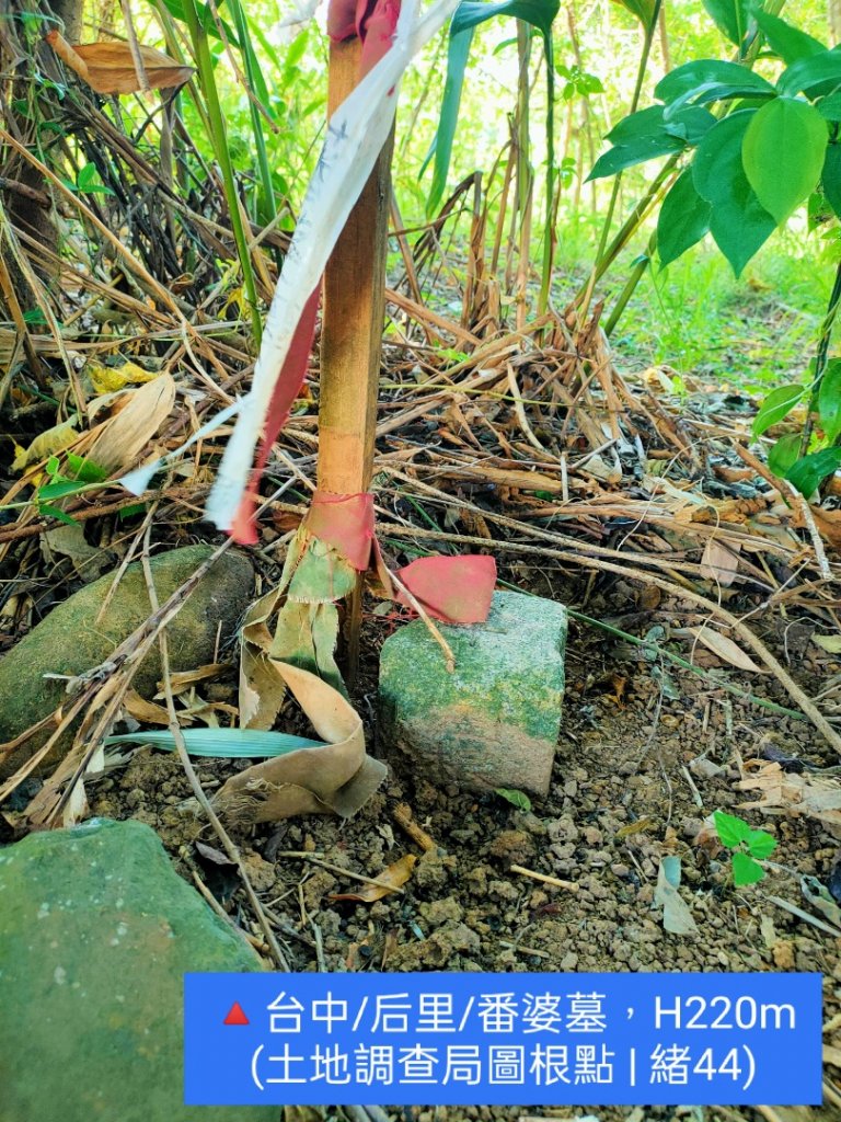 🔺基石 | 三角點_1868446