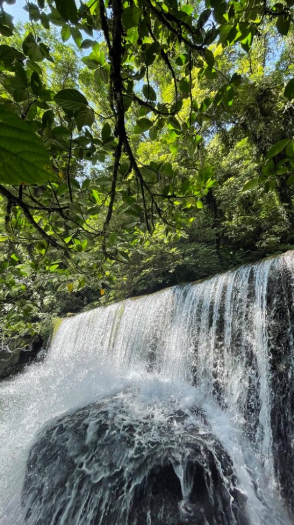 台版亞馬遜森林🌳溪流一處很野的-斯其野溪_2231234