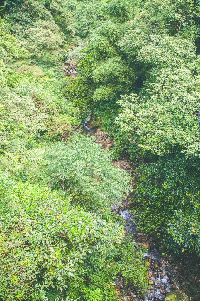 20190707-淡蘭古道北路，雙溪-瑞芳_1818725