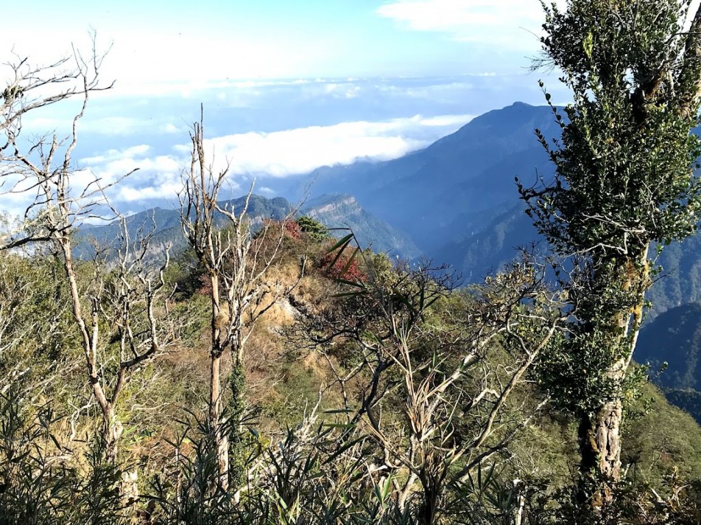 加里山大坪登山口20191124_1965168