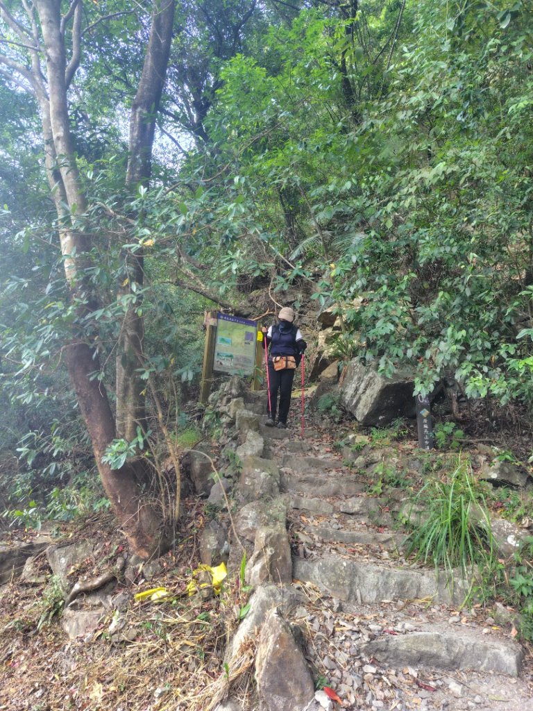 唐麻丹山 蝴蝶谷_2919001