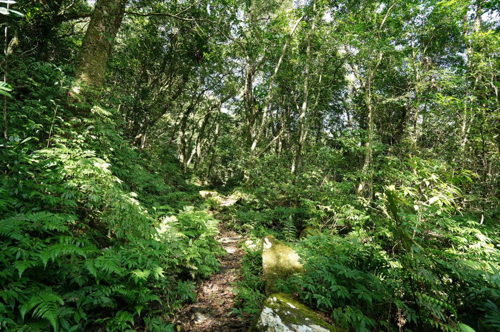 新北 坪林 東坑山、建牌崙、梳妝頂山、梳妝樓山_2405175