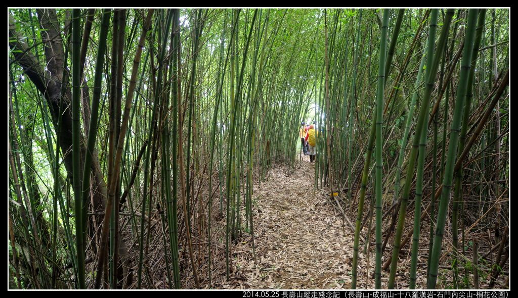 長壽山-成福山-十八羅漢岩-石門內尖山_330942