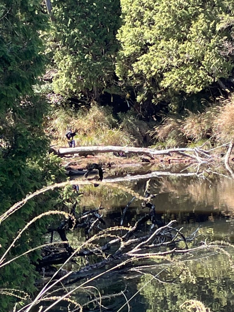 三星山+三星池+望洋山+太平山山毛櫸_2432874
