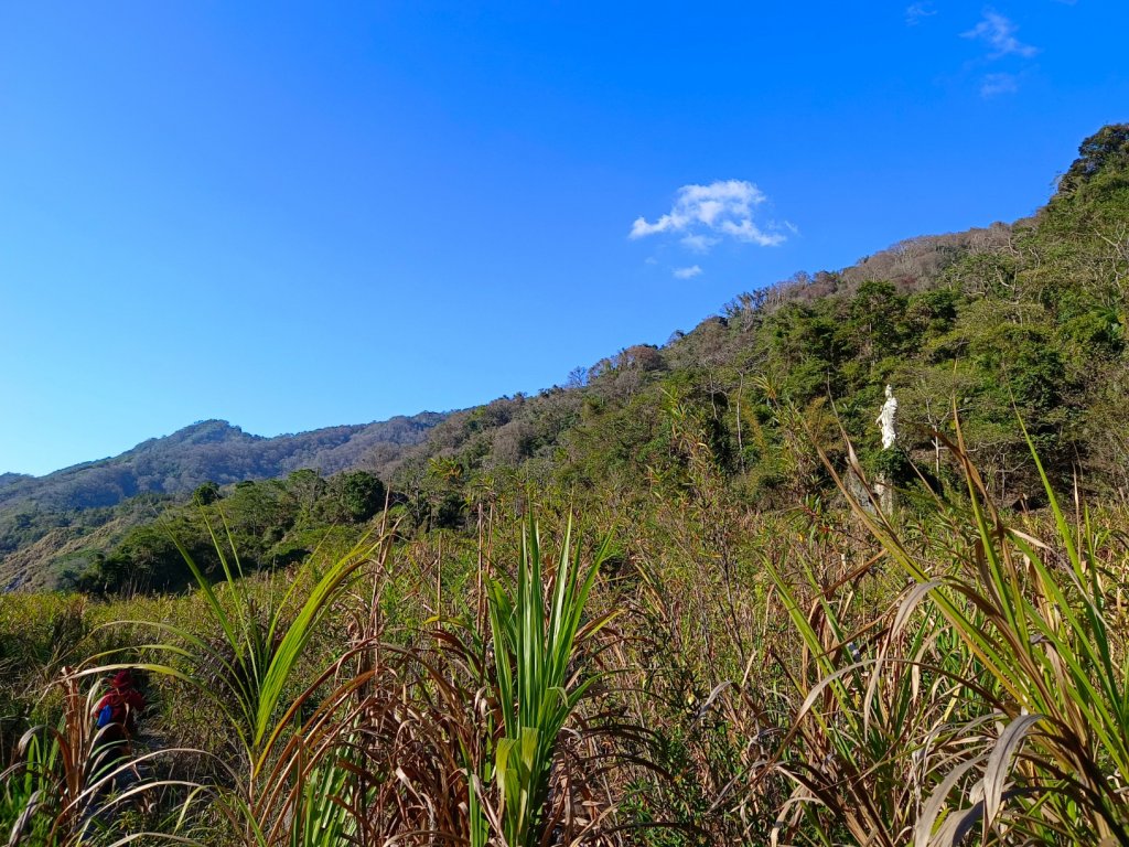 台中和平區百川山（巨人之手+500公尺起登發）_2036656