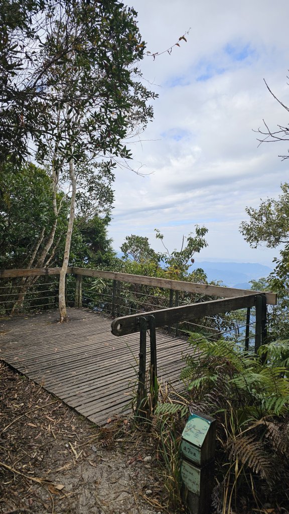 【中級山經典：水社大山、水社主峰】🥾4小時53分的征途，汗水與意志的考驗。_2982563