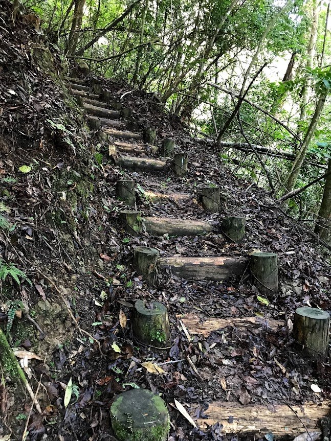 霞喀羅國家步道_石鹿登山口20190126_1964172