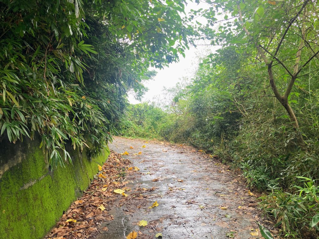 阿罩霧山_2600913