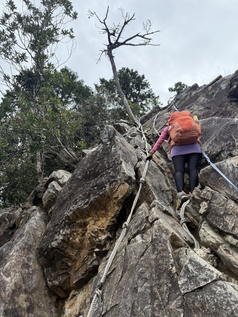鳶嘴山+稍來神木 20250830_2873861