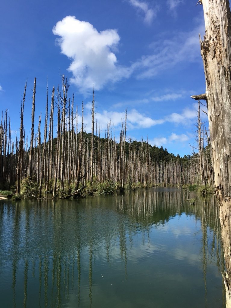 水樣森林 第一次在山裡過夜_658650