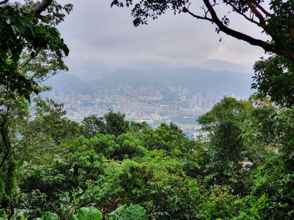 臺北大縱走第一段加碼版，忠義山，向天山，面天山，永春寮環狀步道，四季長廊觀景台，鳳梨宅，大屯自然公園_1655668