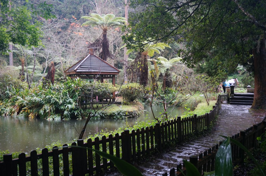 溪頭自然教育園區_2016890