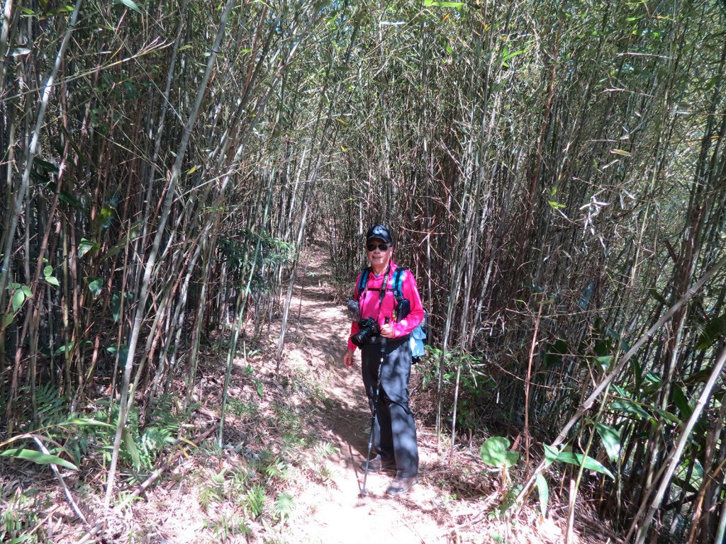 總督府步道.頭寮山_752425
