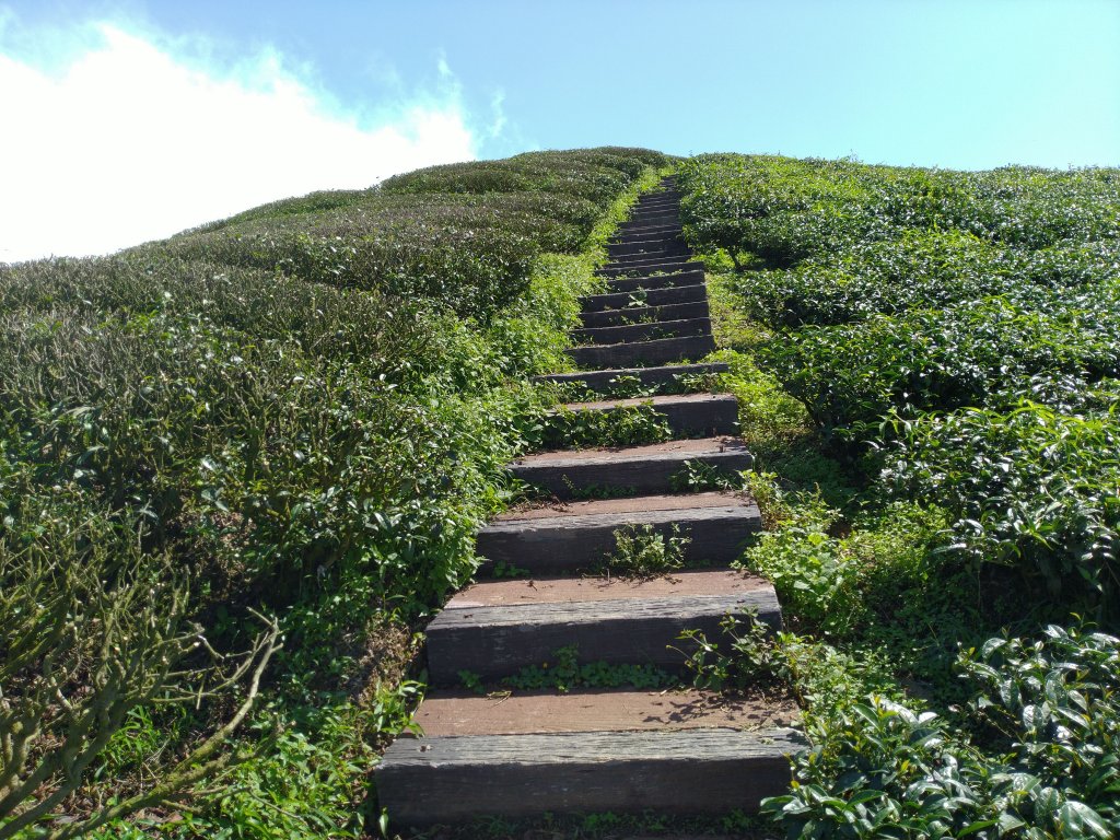 2023-05-28 雲嘉六連峰_2166221