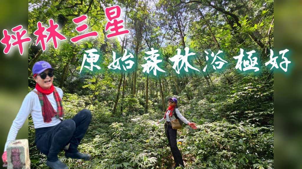 坪林三星(鬼子瀨尖.源茂山.和尚髻山)全紀錄封面圖