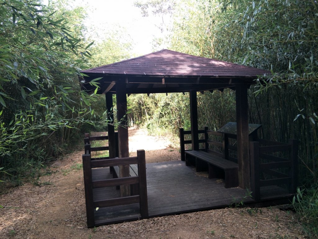 鐘樓古道_1431918