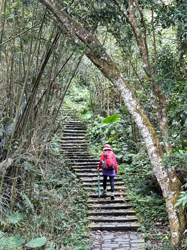 大山背山+騎龍山O繞2025.12.28_2979476