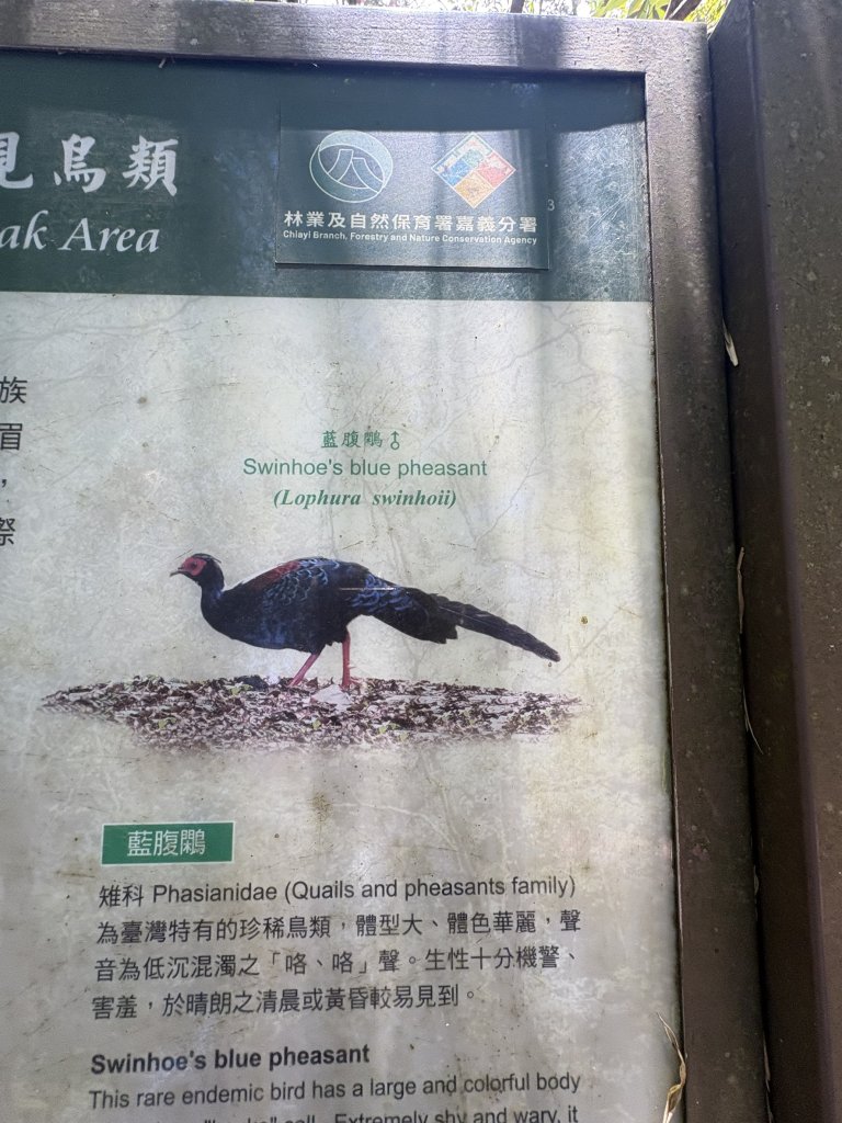 20251221嘉南雲峰、石壁山登山步道_2968182