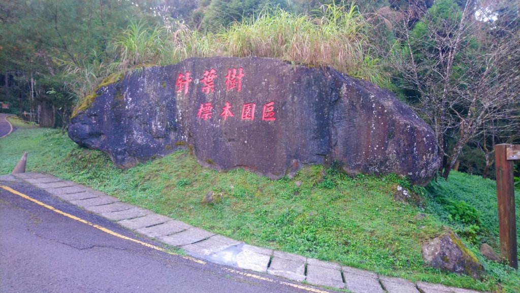 溪頭天文台登山步道、神木步道_1523911