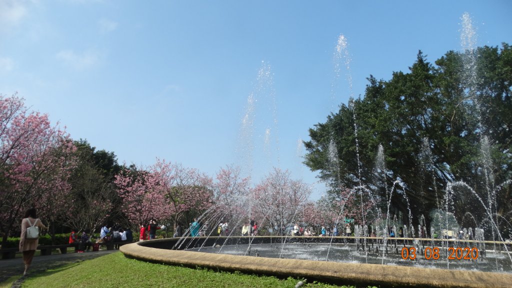 追花是簡單的快樂，賞花是恬淡的幸福。_871258