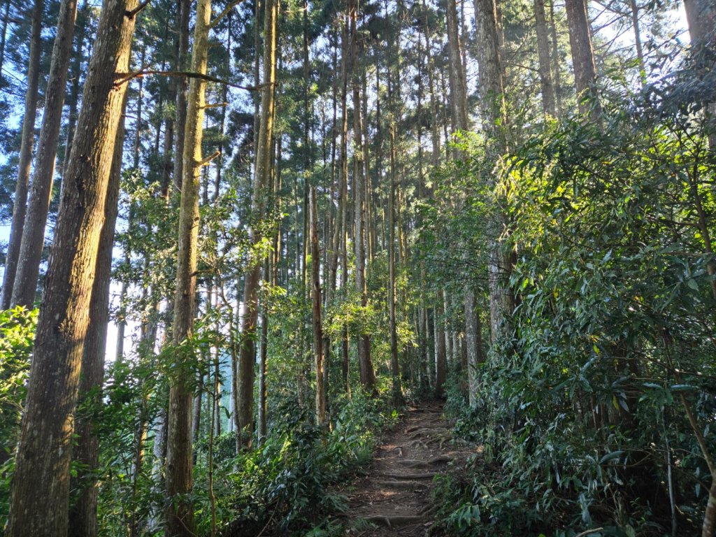 油羅山_3014850