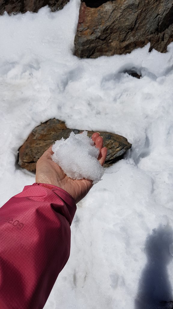 白雪玉山王者再臨_916419