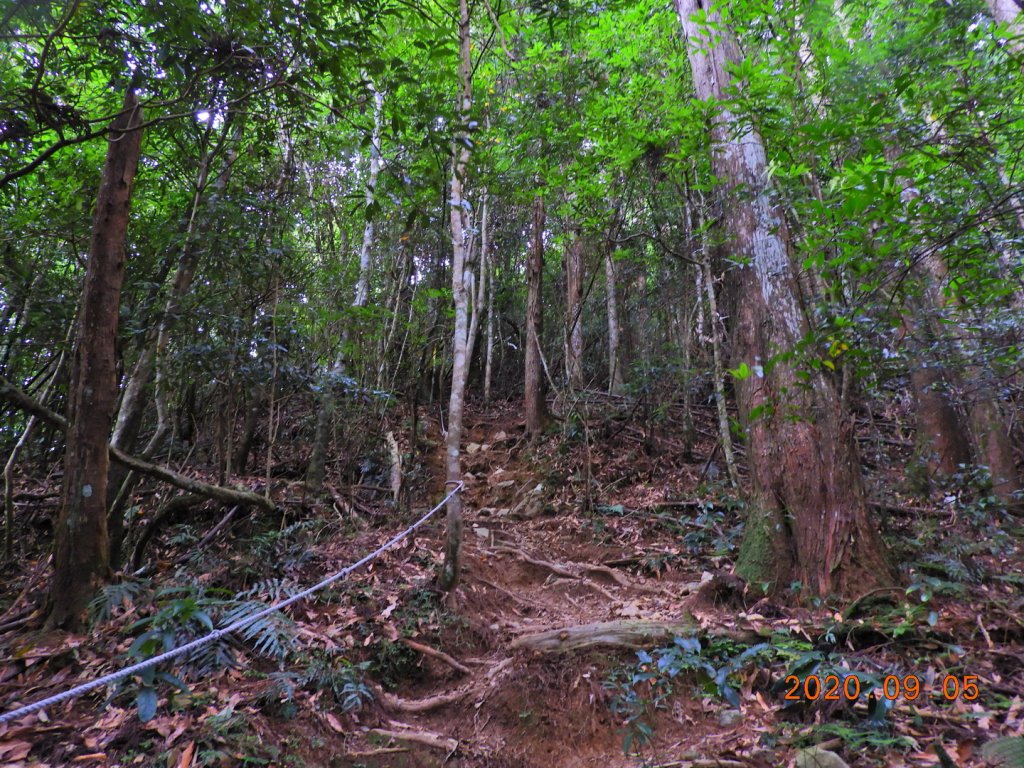 新竹 五峰 油羅山_1088972