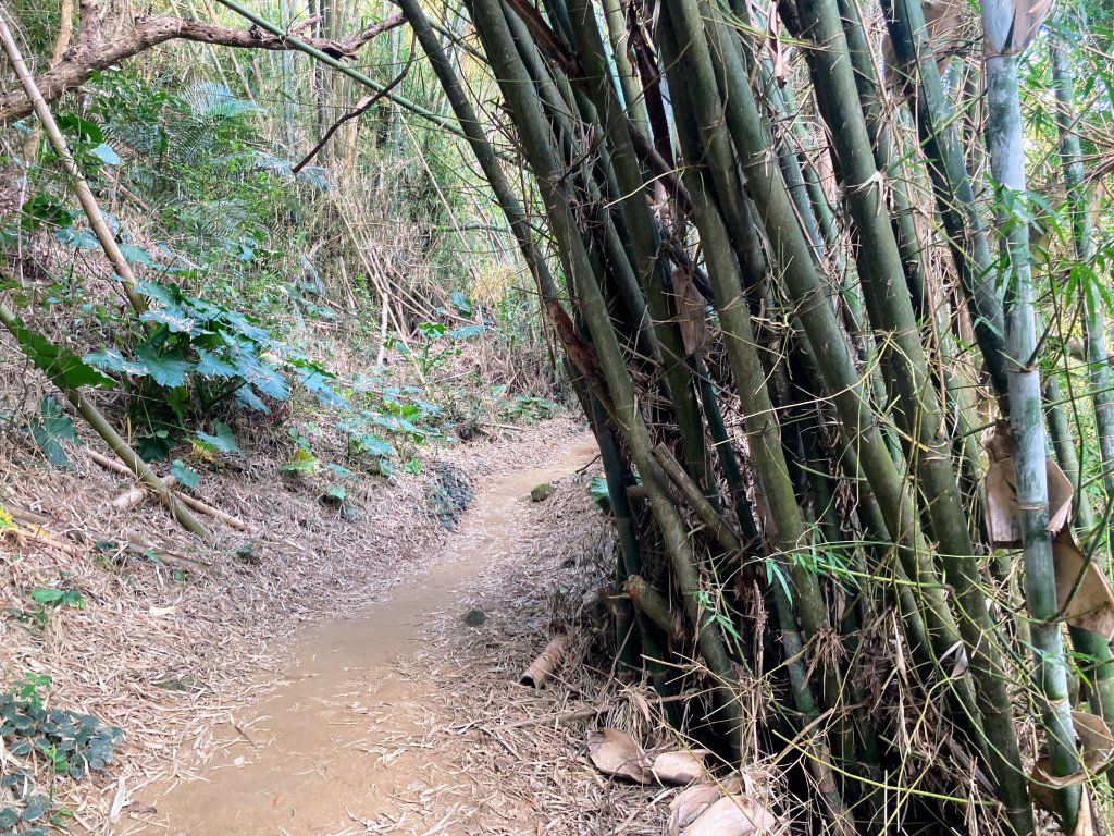 紅毛埤山(蘭潭後山步道)_2653337