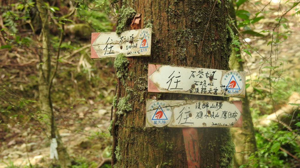 太和山步道_109402