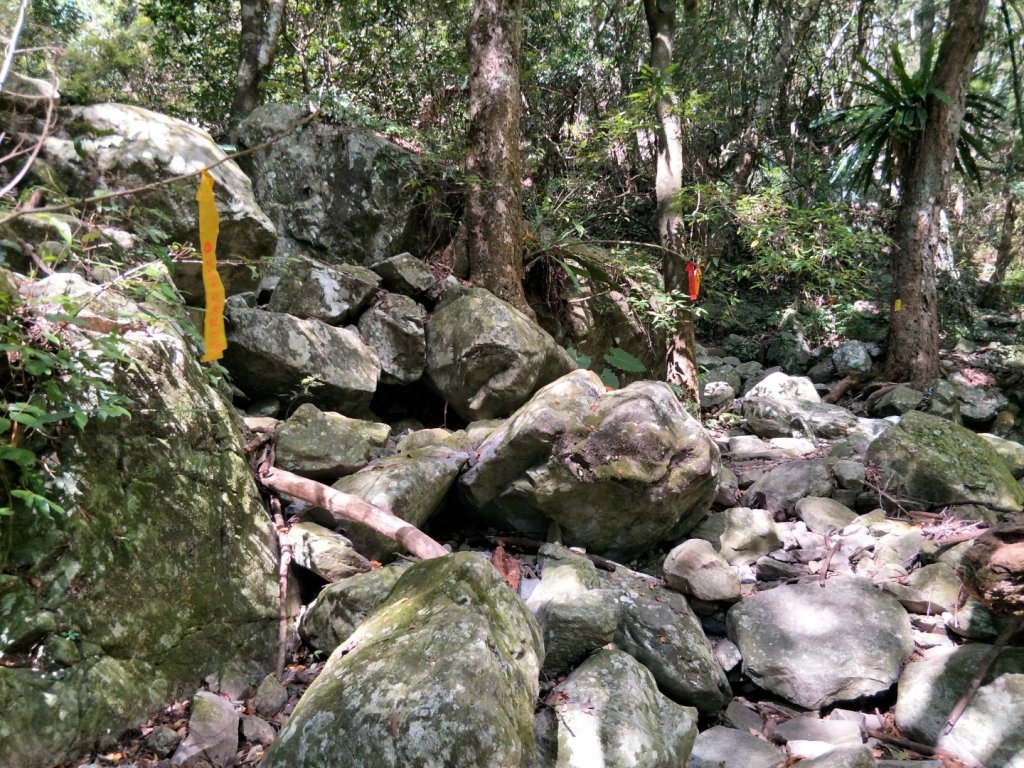 谷關七雄：屋東縱走-屋我尾山-麗陽上_1491997