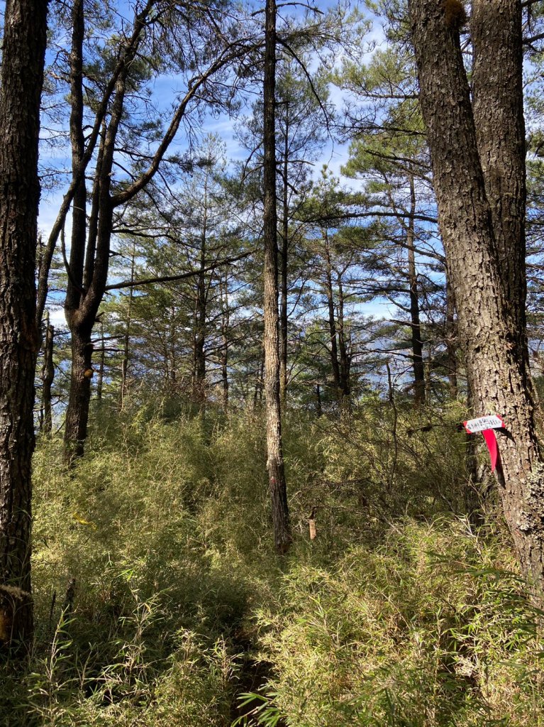 羅馬縱走_2038411