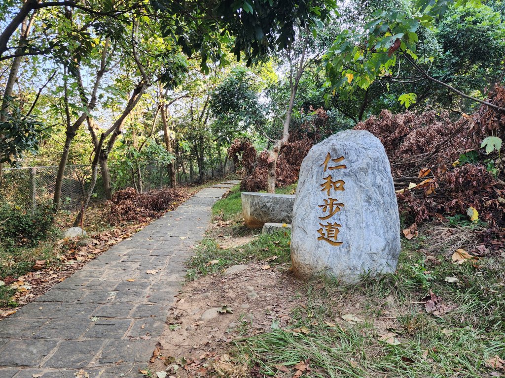 新竹湖口｜萬年道、仁和步道、金獅古道、漢卿步道_2912203