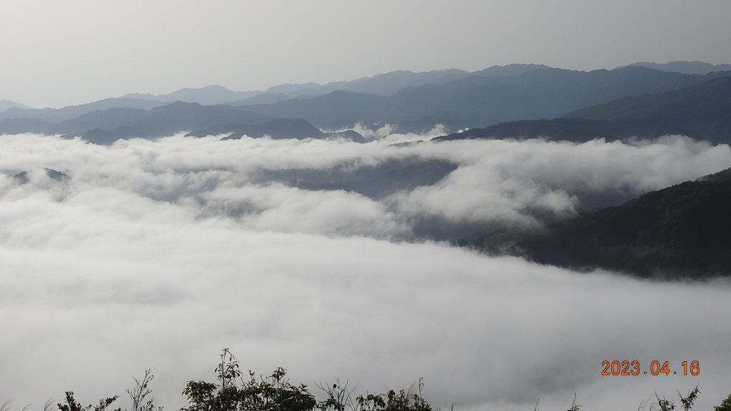 翡翠水庫壩頂(新店四十份)再見日出雲海+賞 #松月櫻 &桐花_2114983