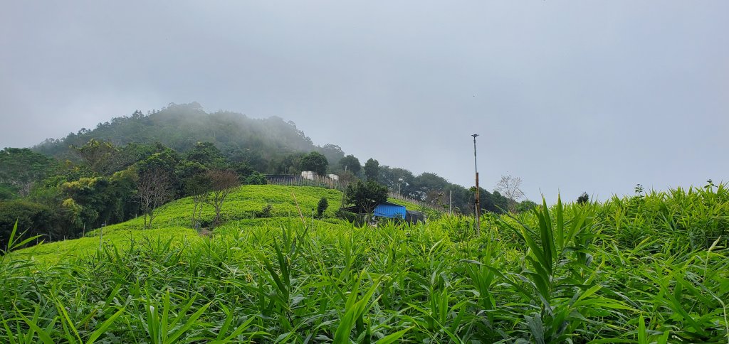 神阿縱走前的前哨站_獵人古道連接望美山與瓊山_2333434