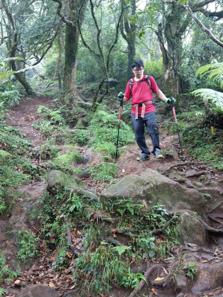 陽明山東西大縱走活動_403435