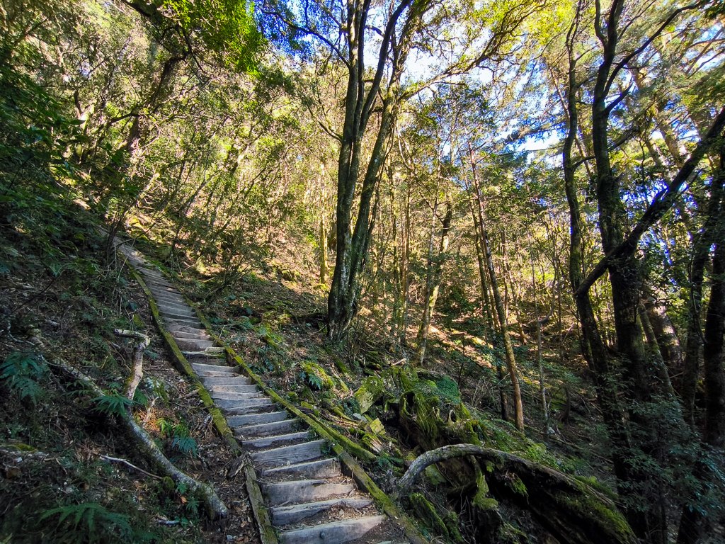 2026-02-09 庫哈諾辛山_2998838