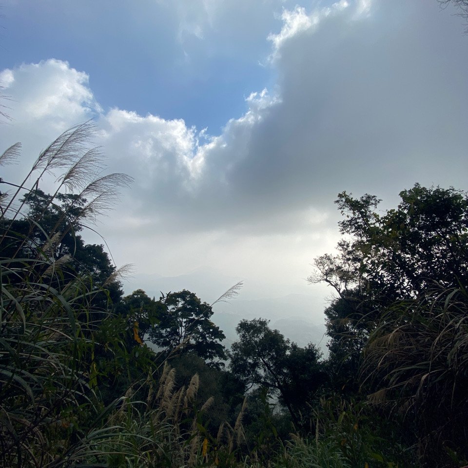 台南大凍山 1241M 小百岳#63_1270917