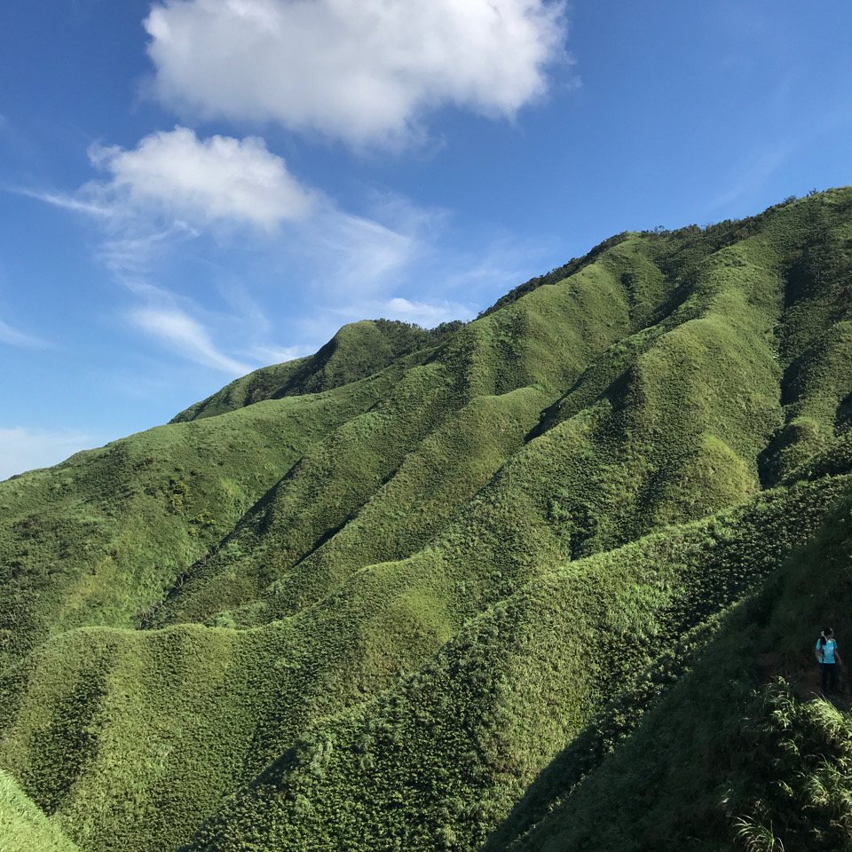 抹茶山封面圖