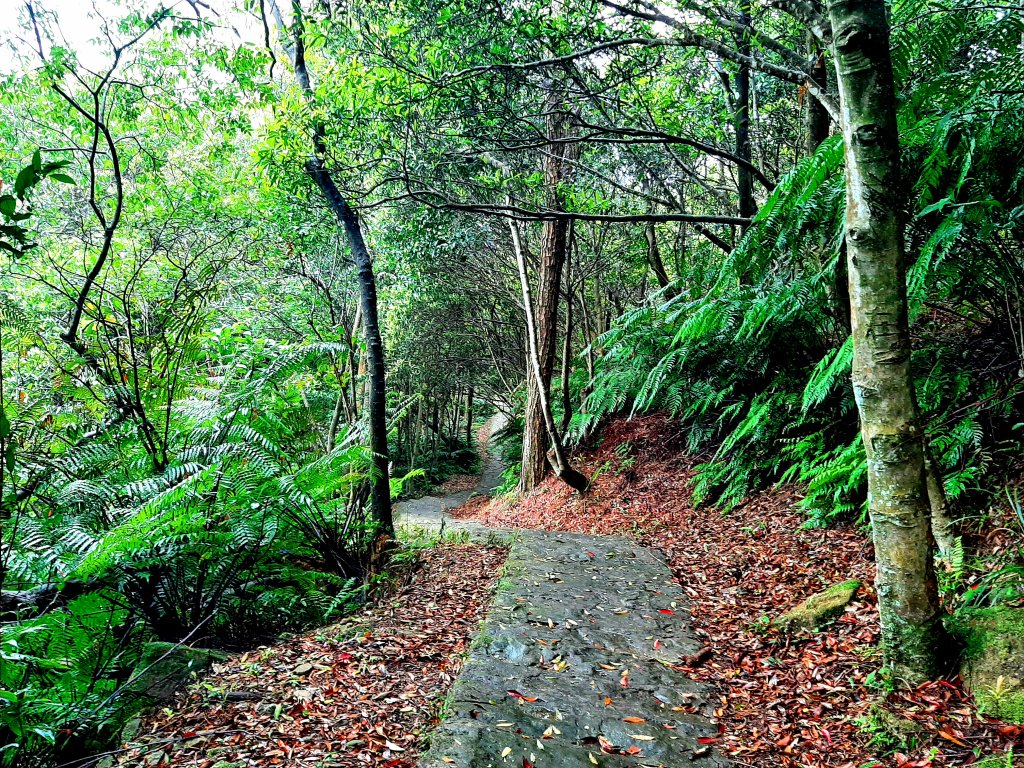 臺北大縱走4｜大湖公園捷運站至風櫃嘴_2472337